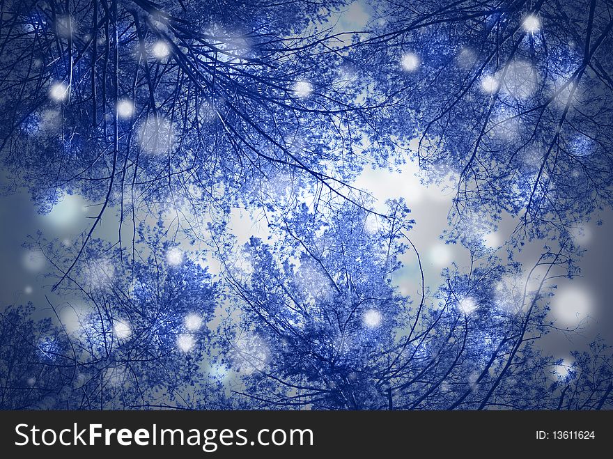 Blue winter background with snow and pines