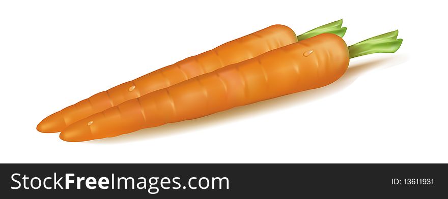 Two orange carrots.