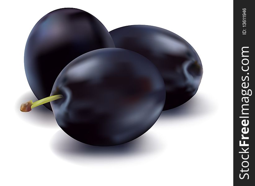 Photo-realistic . Three ripe plums.