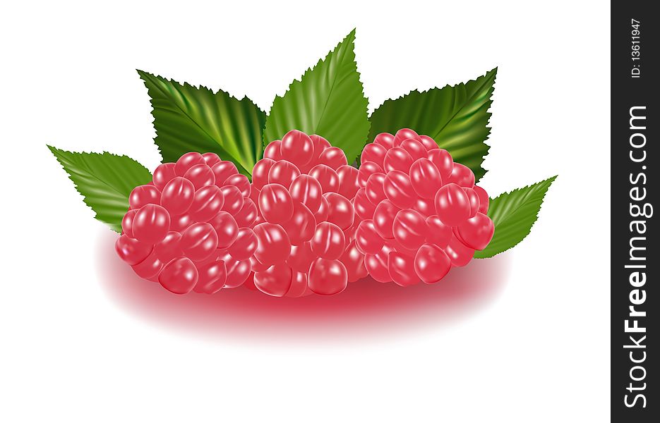 Photo-realistic . Three raspberries with leaves.