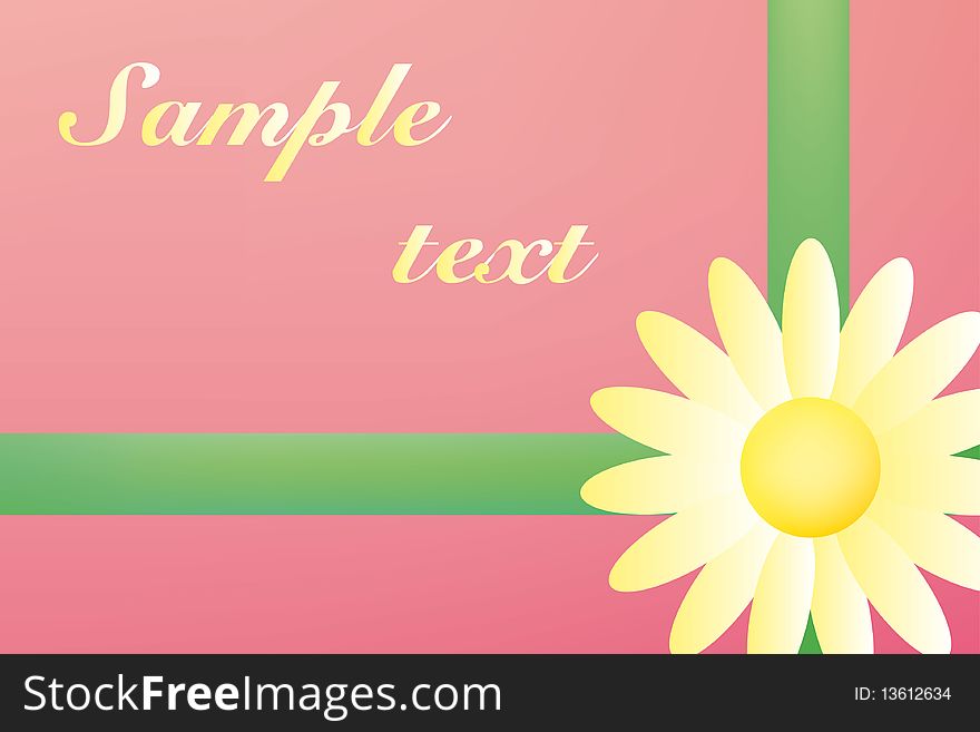 Colorful background. Chamomile. Spring flower