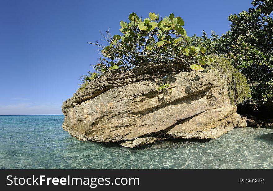 Rock with tropical vegetation on cuban shore. Rock with tropical vegetation on cuban shore