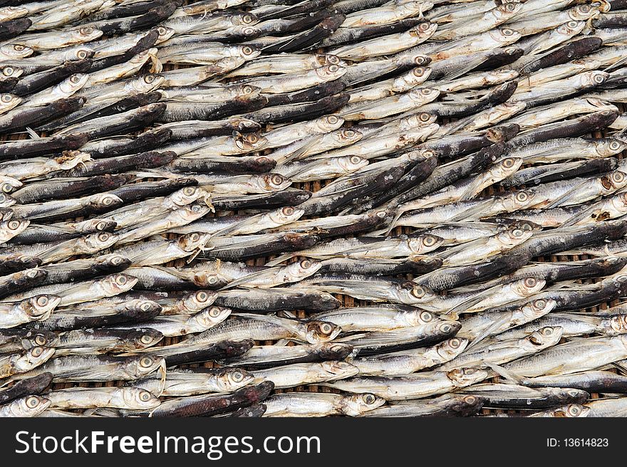 The image was made from a fishing village near Jakarta, who had left the fish dried in the sun;photography could be used as an image for food, or as decoration for restaurants. The image was made from a fishing village near Jakarta, who had left the fish dried in the sun;photography could be used as an image for food, or as decoration for restaurants.