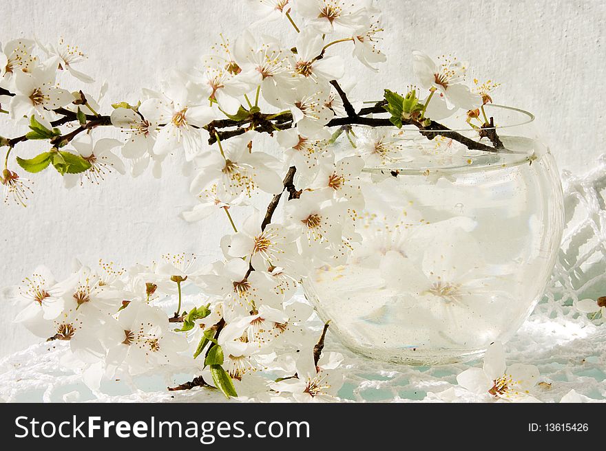 Stll-life With Blooming Apple Tree