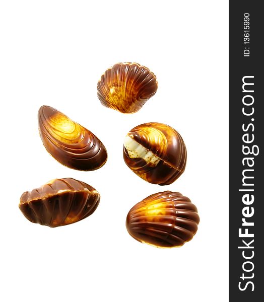 Chocolate seashells isolated on the white background