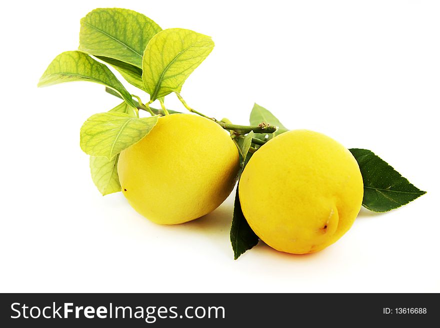 Lemons with leaflets isolated on a white background