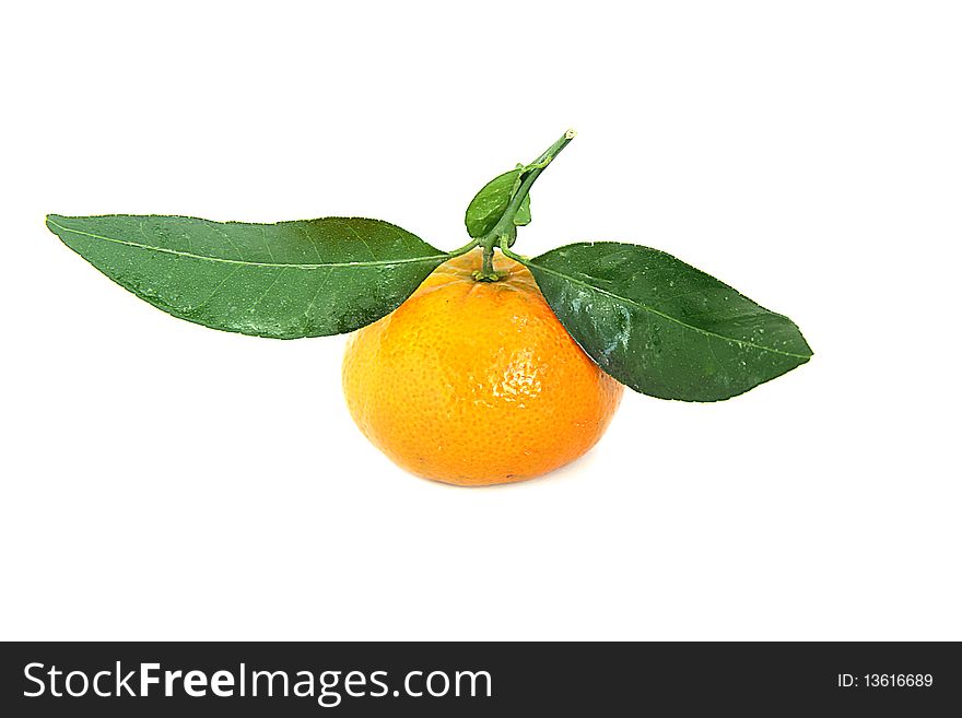 Tangerine with leaves on a white background