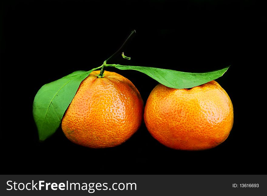 Tangerines on a black background