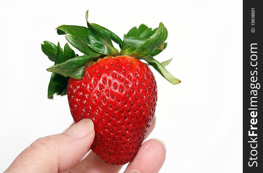 A person is holding a fresh, large, red, ripe strawberry. A person is holding a fresh, large, red, ripe strawberry.