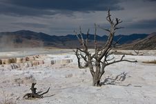 Stark Vista - Mammoth Hot Springs Stock Photos