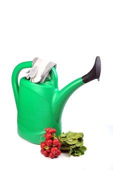 Free Green Watering Can, Royalty Free Stock Image - 13621336