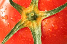 Tomato Closeup Royalty Free Stock Image Tomato Closeup Royalty Free Stock Image