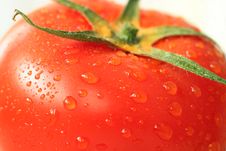Tomato Closeup Royalty Free Stock Photography Tomato Closeup Royalty Free Stock Photography