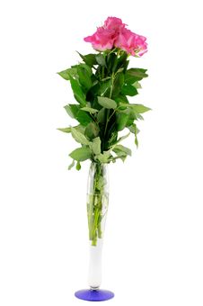 Pink Roses In Vase Stock Photos