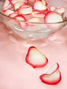 Water For Spa With Rose Petals Royalty Free Stock Image Water For Spa With Rose Petals Royalty Free Stock Image