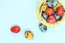 Spotted Eggs Stock Image Spotted Eggs Stock Image