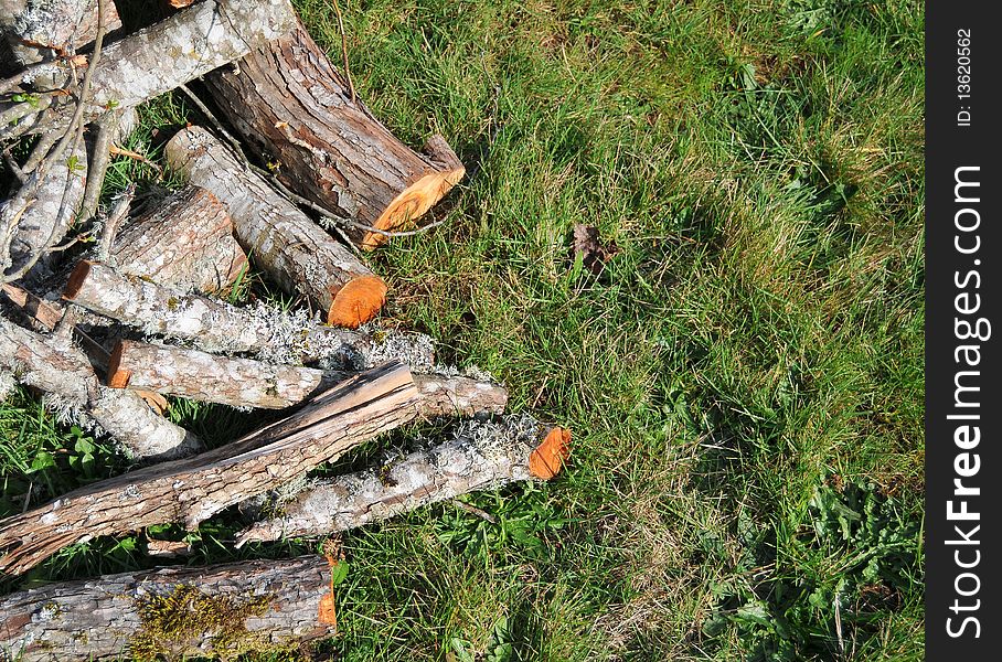 A pile of cut fire wood sitting on a bunch of grass. A pile of cut fire wood sitting on a bunch of grass