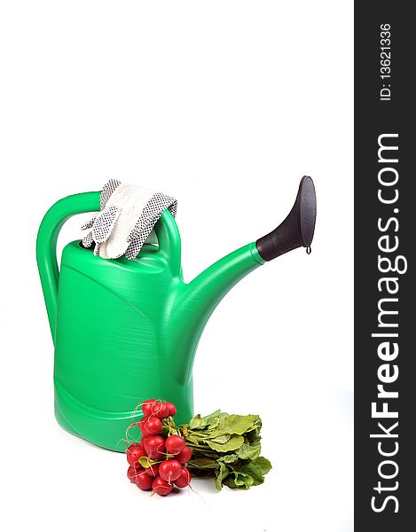 Green watering can, rake , bunch of red radish and working gloves