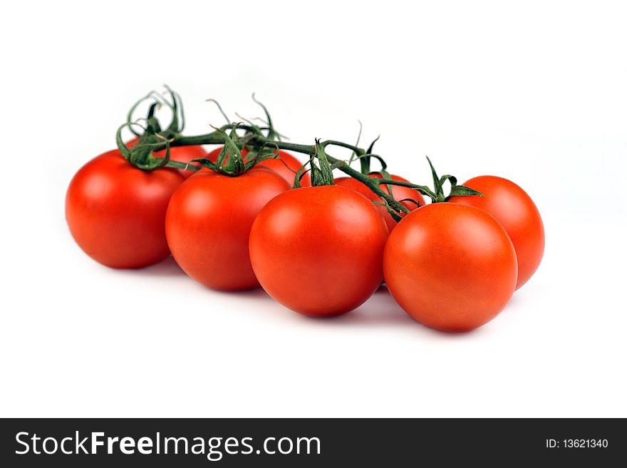 Tomato bunch isolated on white. Tomato bunch isolated on white