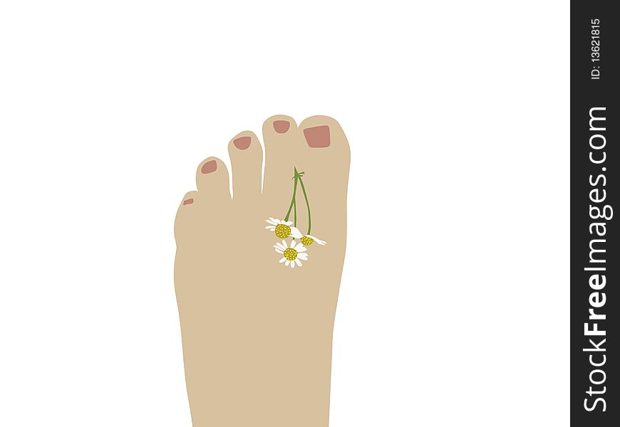 Human leg with a chamomile flower