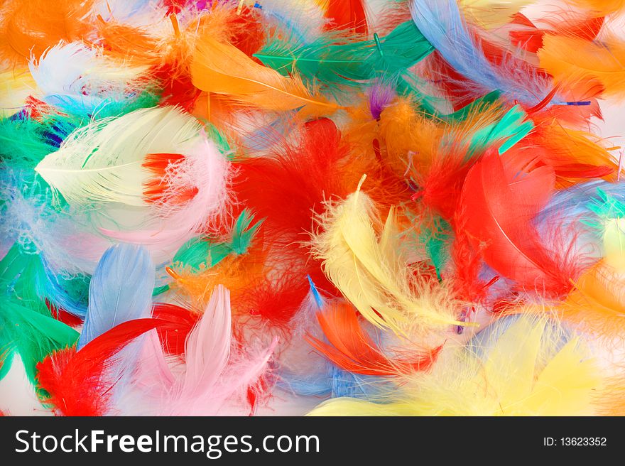 Soft feathers of various colors