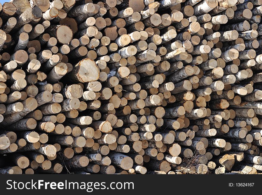 Birch Logs Stack