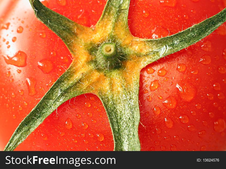 Closeup of a juicy tomato covered by water drops. Closeup of a juicy tomato covered by water drops