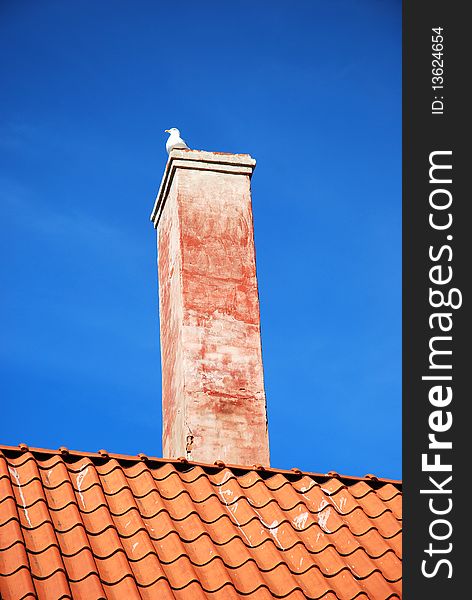 An old chimney on a house, white bird-a tern.