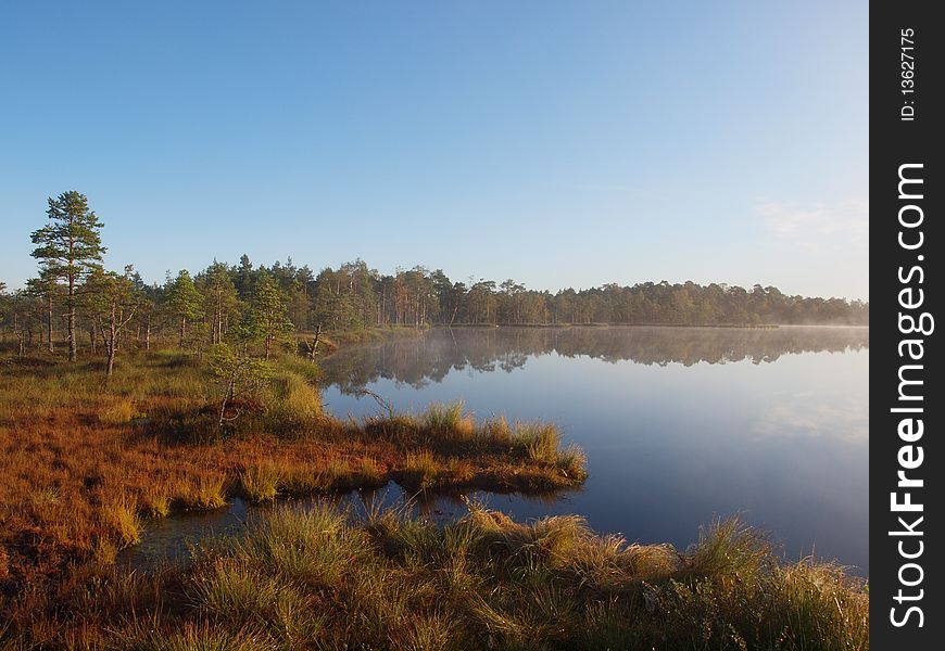 Marsh landscape, Kakerdaja Bog, clear day