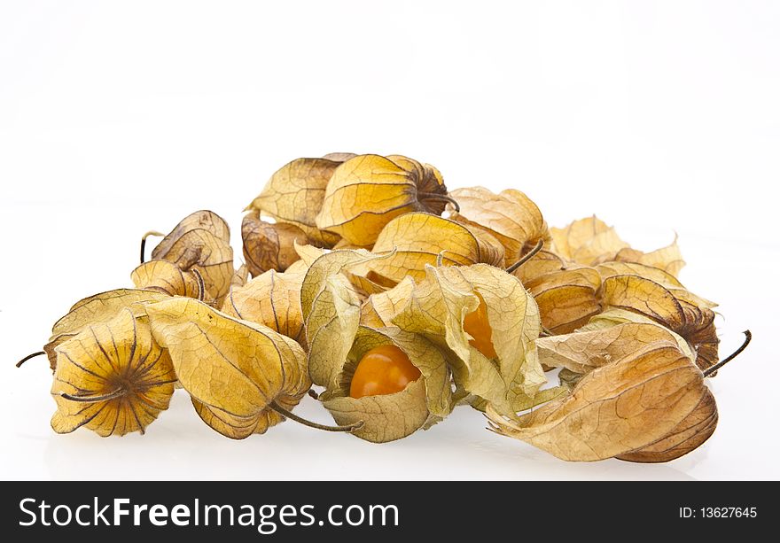 Physalis on a white background