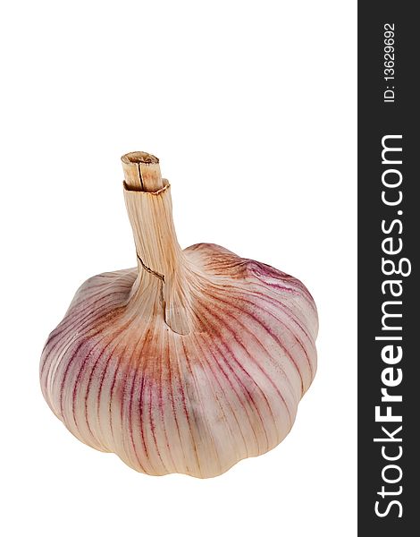 Garlic Bulb