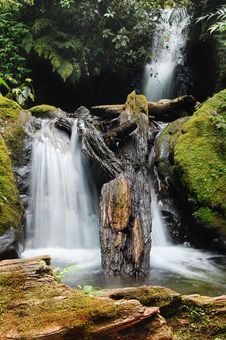 Natural Spring Waterfall Stock Photography Natural Spring Waterfall Stock Photography