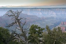 Grand Canyon Stock Images Grand Canyon Stock Images