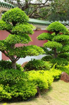 Japanese Garden Stock Photos Japanese Garden Stock Photos