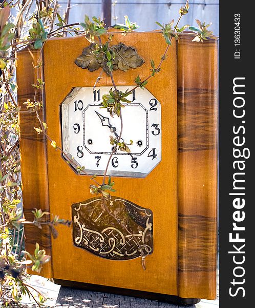 Old clock brid with twigs