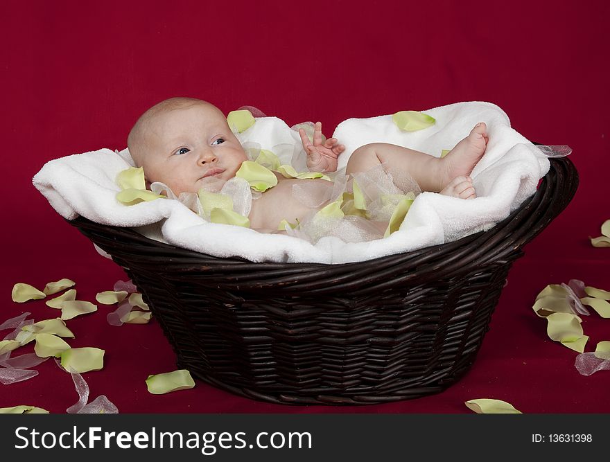 Close up of baby in a basket. Close up of baby in a basket