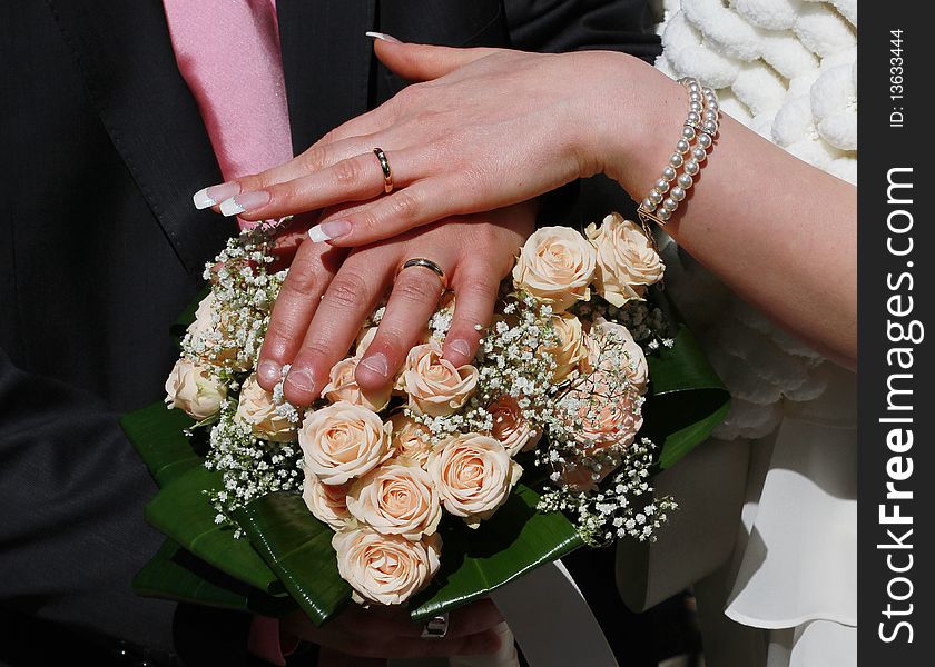 Caucasian mid-adult  male and female hands with wedding rings. Caucasian mid-adult  male and female hands with wedding rings