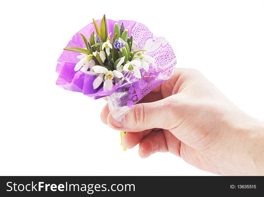 The bouquet of snowdrops in the hand. The bouquet of snowdrops in the hand