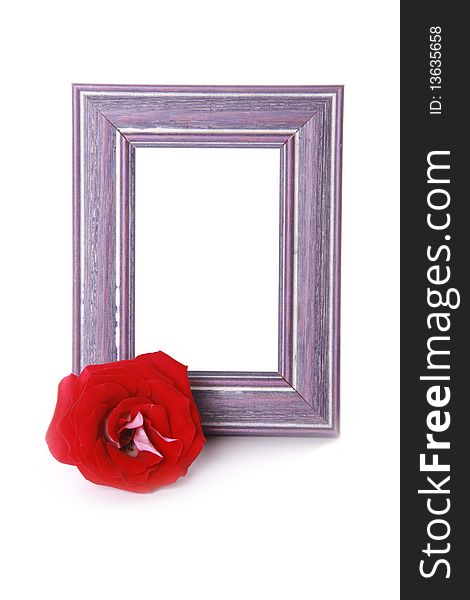 Photoframe with red rose over white