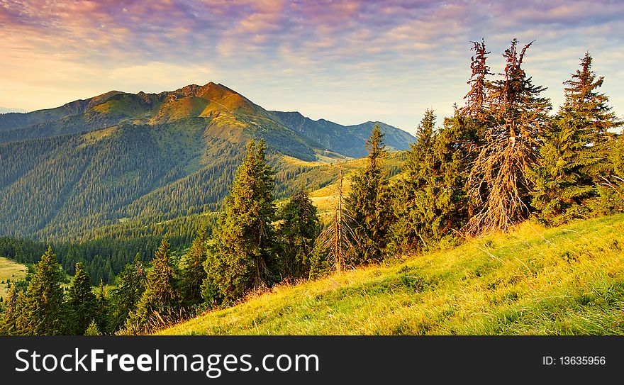 The first beams of a rising sun shine mountains Carpathians, Ukraine. The first beams of a rising sun shine mountains Carpathians, Ukraine