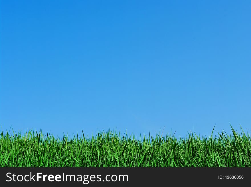Green grass and blue sky, background. Green grass and blue sky, background