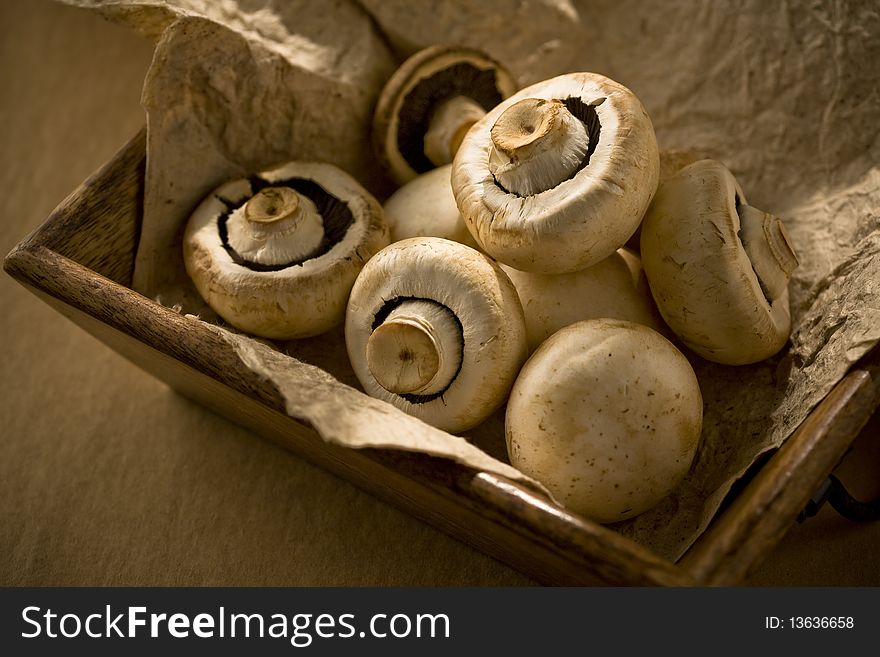 Mushroom in wood container, studio shot