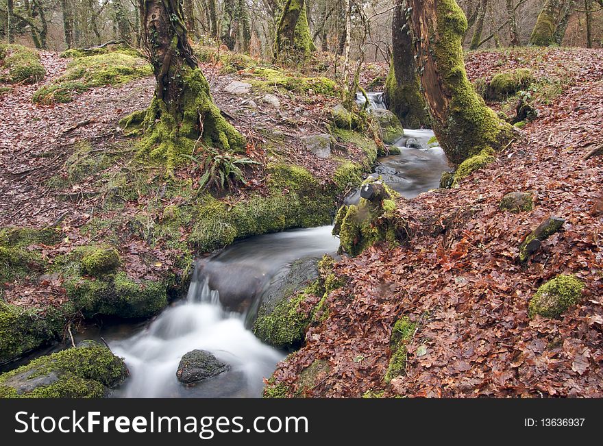 Long Exposure of a stream running through the woods with waterfalls. Long Exposure of a stream running through the woods with waterfalls