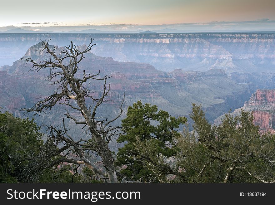 Grand Canyon north rim in the early morning at dawn