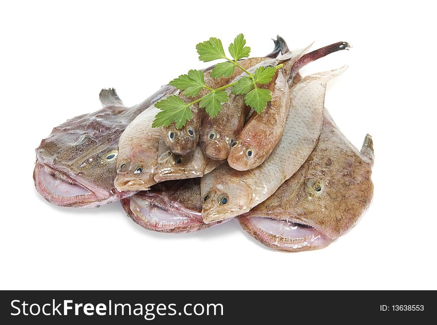 A pile of different fishes isolated on a white background