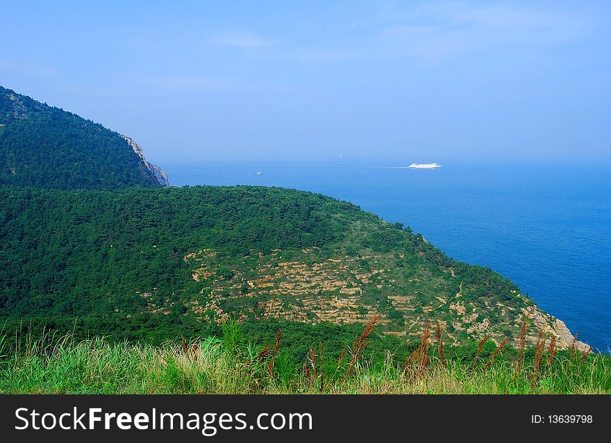 Forest in Dalian, China. Panoramic view. Sea on background.