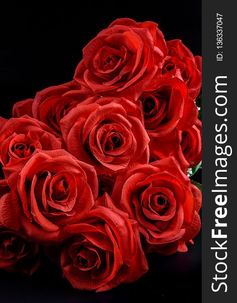 Bouquet of red roses on black background. St Valentine`s concept