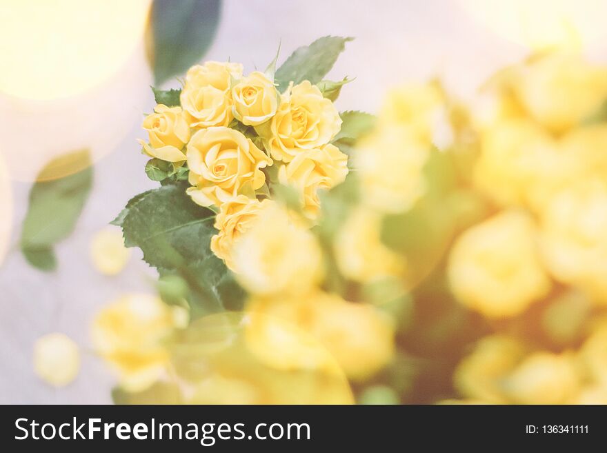 bouquet of yellow roses in sunlight - springtime, mother s day and holiday concept