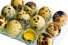 Eggs Quail Royalty Free Stock Image