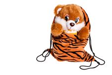 Teddy Bear Inside A Bag Royalty Free Stock Photo Teddy Bear Inside A Bag Royalty Free Stock Photo